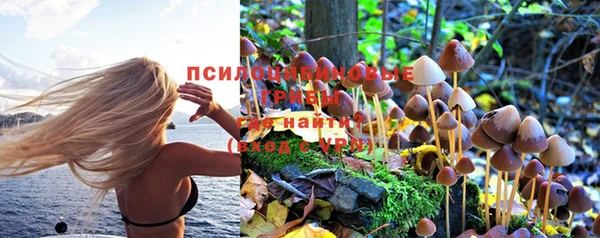 марки lsd Арсеньев