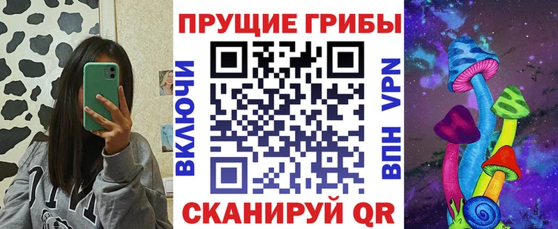 Галлюциногенные грибы GOLDEN TEACHER  Покровск 
